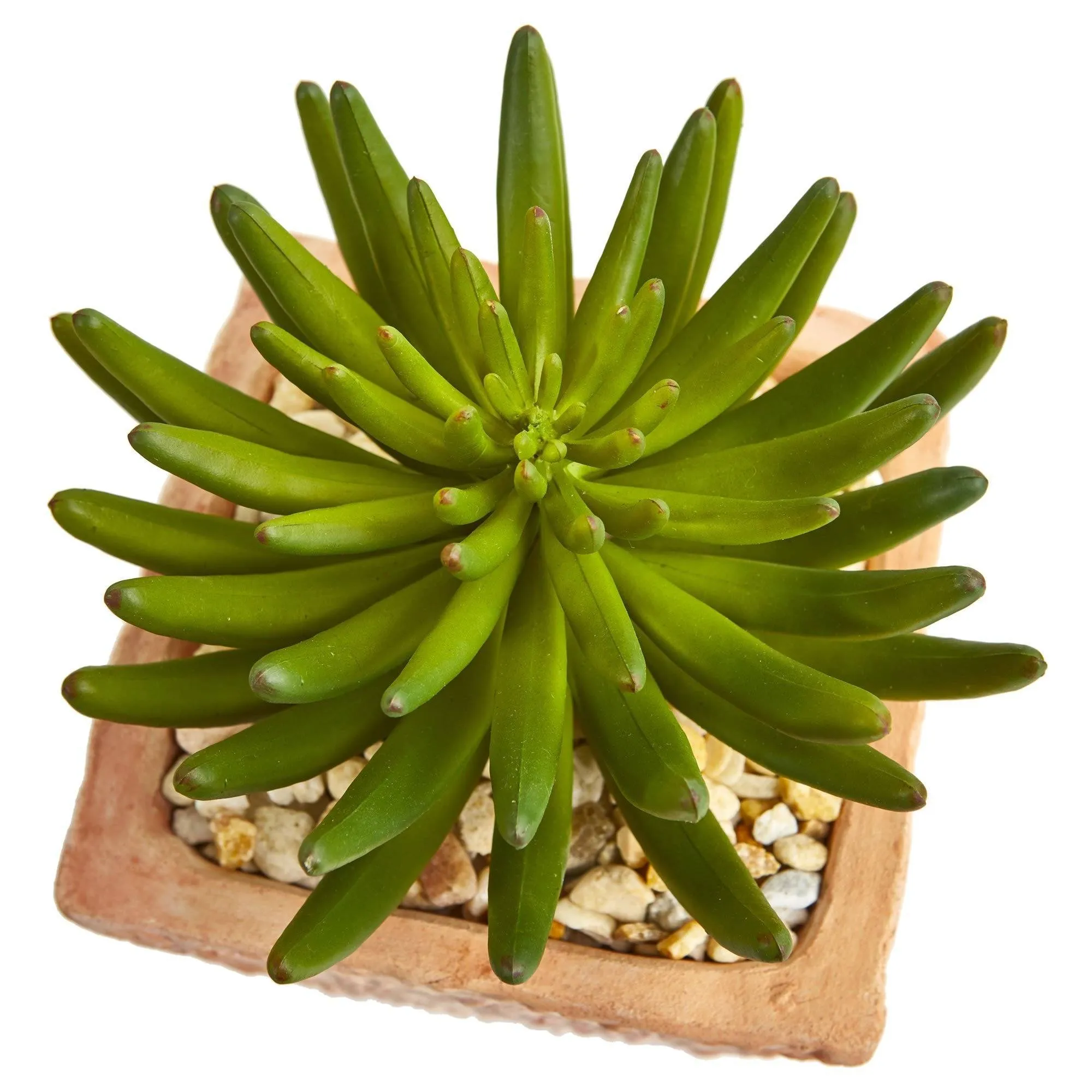 9” Succulent Artificial Plant in Terra Cotta Planter (Set of 2)