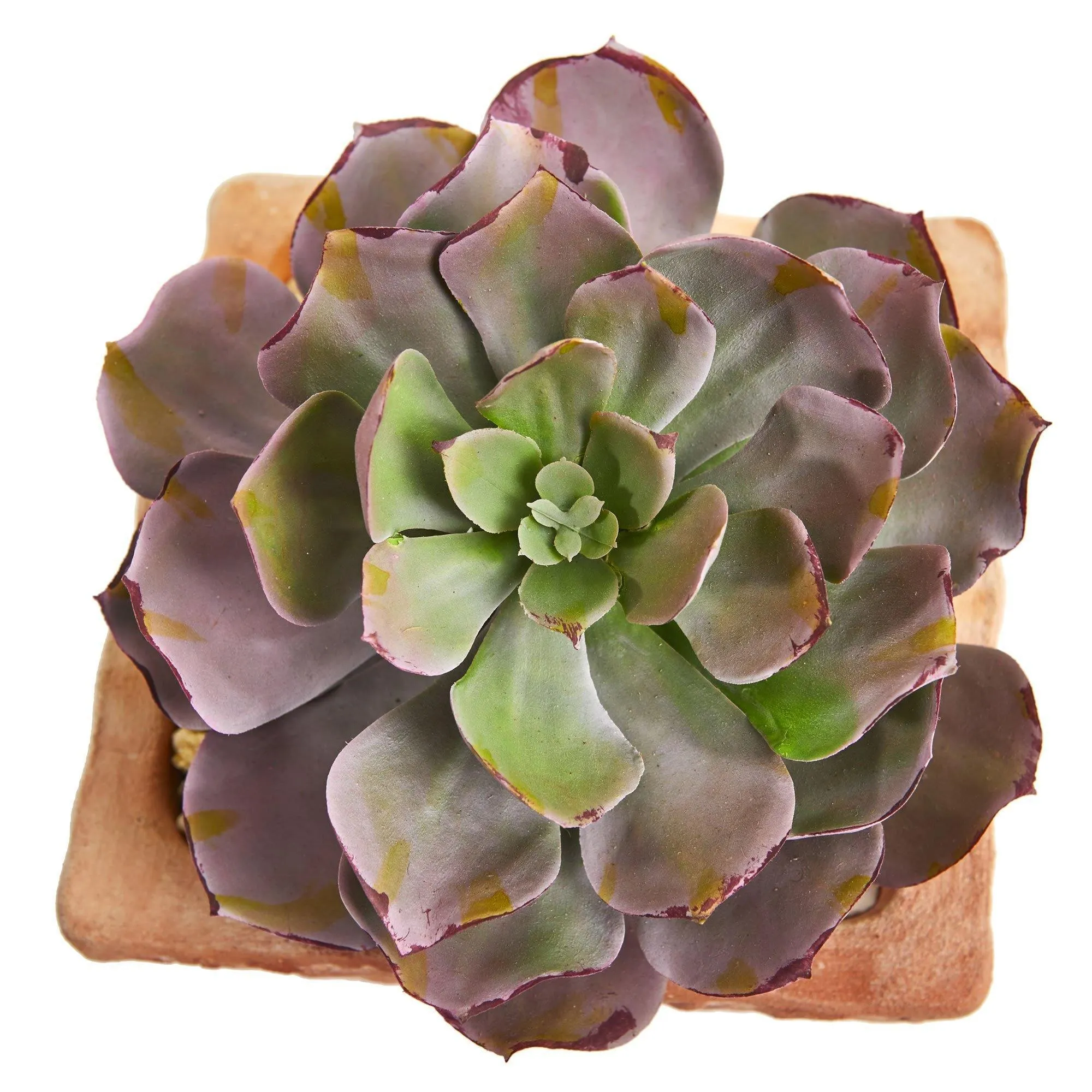 9” Succulent Artificial Plant in Terra Cotta Planter (Set of 2)